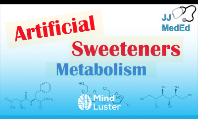 Absorption and Metabolism of Sugar Substitutes Artificial Sweeteners Aspartame Sucralose Etc