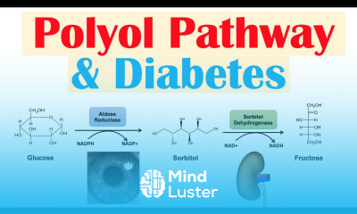Polyol Pathway Diabetes The Role of Polyol Pathway in Diabetes Pathogenesis