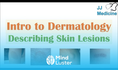 Introduction to Dermatology The Basics Describing Skin Lesions Primary Secondary Morphology