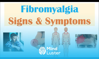 Fibromyalgia Signs Symptoms Associated Conditions