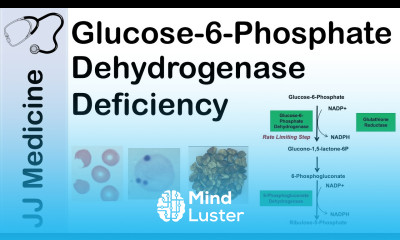 Glucose 6 Phosphate Dehydrogenase Deficiency Symptoms Pathophysiology Diagnosis and Treatment