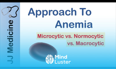Anemia Microcytic vs Normocytic vs Macrocytic