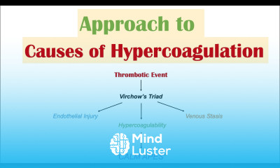 Excessive Clotting HYPERCOAGULATION Virchow s Triad Causes of Venous and Arterial Thrombosis