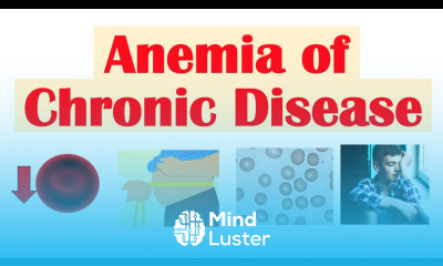Anemia of Chronic Disease Causes Pathophysiology Signs Symptoms Diagnosis Treatment