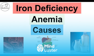 Causes of Iron Deficiency Anemia Dietary Losses Utilization