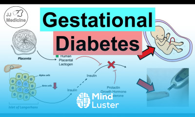 Gestational Diabetes Pregnancy Diabetes Causes Risk Factors Symptoms Consequences Treatment