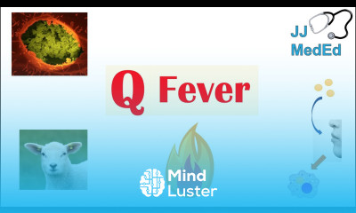 “A Disease from Farm Animals” Q Fever Transmission Symptoms Treatment and Complications