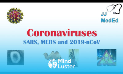 Introduction to Coronaviruses SARS MERS COVID 19 Hosts Symptoms History of SARS and MERS
