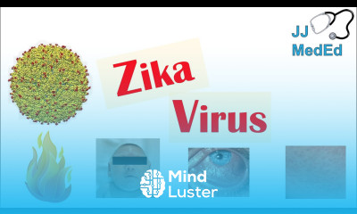 Zika Virus Infection Transmission Congenital Defects Symptoms What You Need To Know