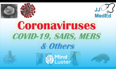Coronaviruses Discovery Origins Symptoms of COVID 19 SARS MERS and Other Coronaviruses