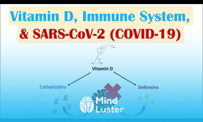 Vitamin D Immune System SARS CoV 2 COVID 19 Mechanism of Vit D Immune Regulation Overview