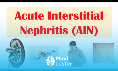 Acute Interstitial Nephritis AIN Causes Pathophysiology Symptoms Diagnosis Treatment