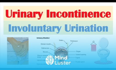 Urinary Incontinence Stress Urge Overflow Functional Causes Symptoms Diagnosis Treatment