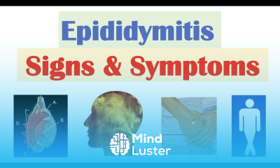 Epididymitis Scrotal Pain Signs Symptoms Why They Occur