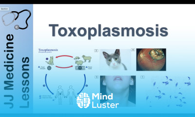 Toxoplasmosis Acquired vs Congenital Signs Symptoms Diagnosis and Treatment