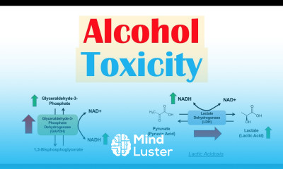 Alcohol Toxicity Toxic Effects of Ethanol on Liver Metabolism Metabolic Consequences