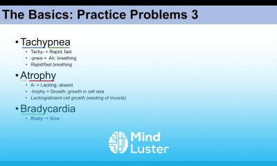 Medical Terminology The Basics Lesson 1 Practice and Example Problems