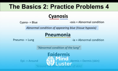 Medical Terminology – The Basics – Lesson 1 Practice Problems Set 2
