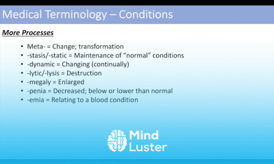 Medical Terminology The Basics Lesson 2