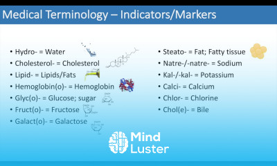 Medical Terminology The Basics Lesson 3