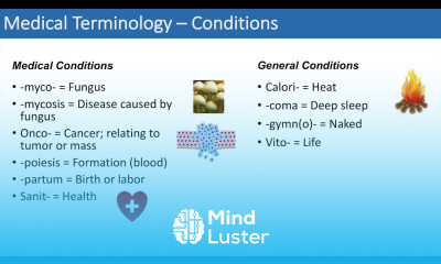 Medical Terminology The Basics Lesson 4