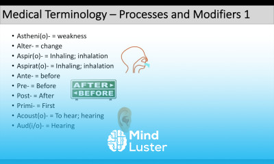 Medical Terminology The Basics Lesson 5