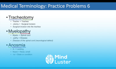 Medical Terminology The Basics and Anatomy Practice Problems Set 1