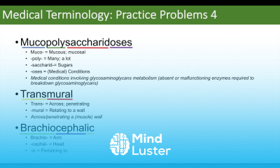 Medical Terminology The Basics and Anatomy Practice Problems Set 3