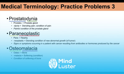 Medical Terminology The Basics and Anatomy Practice Lesson 4