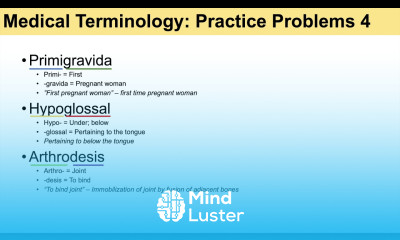 Medical Terminology The Basics and Anatomy Practice Lesson 5