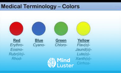 Medical Terminology The Basics Lesson 1 1 Colors