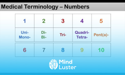 Medical Terminology The Basics Lesson 1 2 Numbers