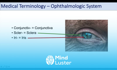 Medical Terminology Lesson 9 Eyes and Eye Conditions Ophthalmology