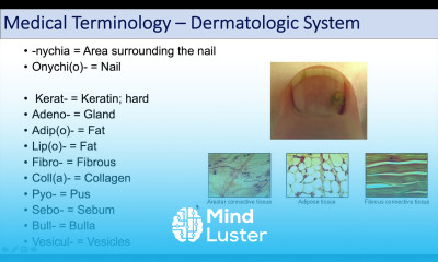 Medical Terminology Lesson 10 Skin and Skin Conditions Dermatology