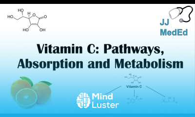 Vitamin C Why we need it dietary sources and how we absorb and metabolize it