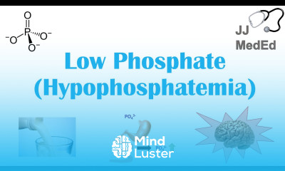Low Phosphate Hypophosphatemia Causes Symptoms Treatment Role of Phosphate Dietary Sources