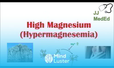 High Magnesium Hypermagnesemia Dietary Sources Causes Symptoms Treatment