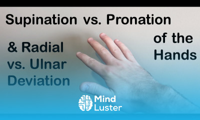 Supination vs Pronation Radial vs Ulnar Deviation of the Hand