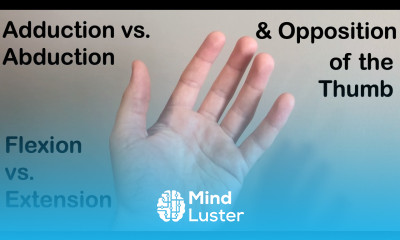Abduction vs Adduction Flexion vs Extension and Opposition of the Thumb