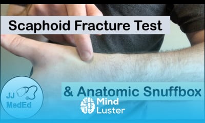Scaphoid Fracture Test Clinical Exam and the Anatomic Snuffbox