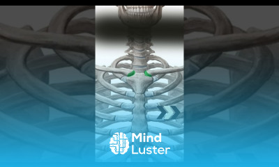 An Easy Way To Mobilize Sternoclavicular Joint Treat Shoulder Pain Stiffness