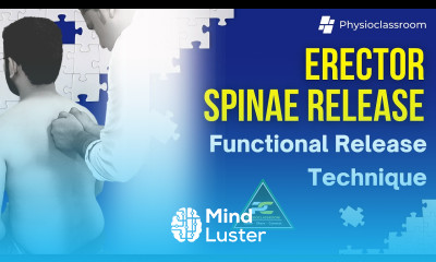 ERECTOR SPINAE ECCENTRIC STRETCH MOBILIZATION TECHNIQUE TO TREAT BACK PAIN