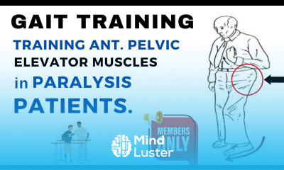 GAIT TRAINING IN PARALYSIS PATIENTS PNF REPEATED STRECH TECHNIQUE FOR PELVIS ANT ELEVATORS