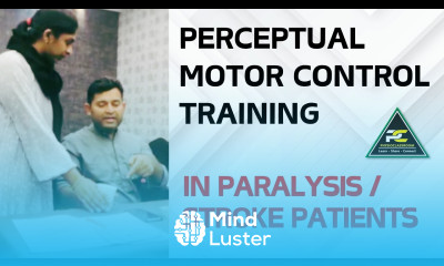 Perceptual Motor Control Training in Paralysis Patients using Replication Technique