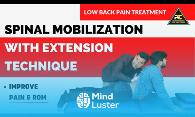 SPINAL MOBILIZATION WITH EXTENSION TECHNIQUE IMPROVE PAIN AND ROM
