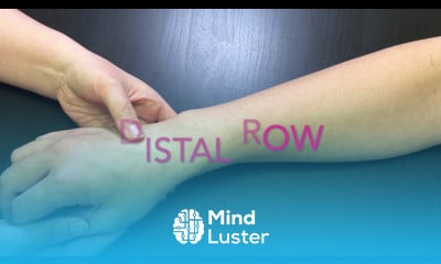 Palpation of Carpal bones