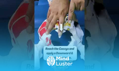 COCCYDYNIA TAIL BONE PAIN TREATMENT BY SACROCOCCYGEAL LIGAMENT RELEASE TECHNIQUE