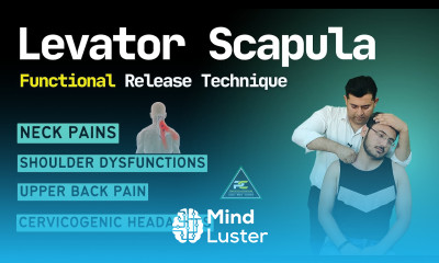 LEVATOR SCAPULAE FUNCTIONAL RELEASE TECHNIQUE FOR NECK PAIN UPPER BACK PAIN