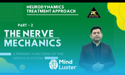 NERVE MECHANICS HOW NERVES RESPOND TO BODY MOVEMENTS NEURODYNAMICS APPROACH PART 2