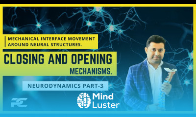 THE MECHANICAL INTERFACE MOVEMENTS CLOSING AND OPENING MECHANISMS AROUND THE NERVOUS SYTEM